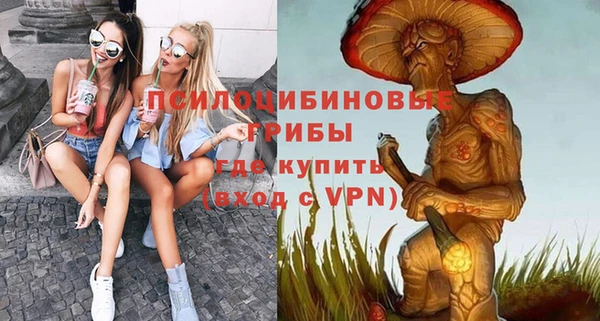 прущие грибы Протвино